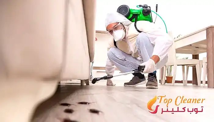 شركة مكافحة حشرات بالشيخ زايد