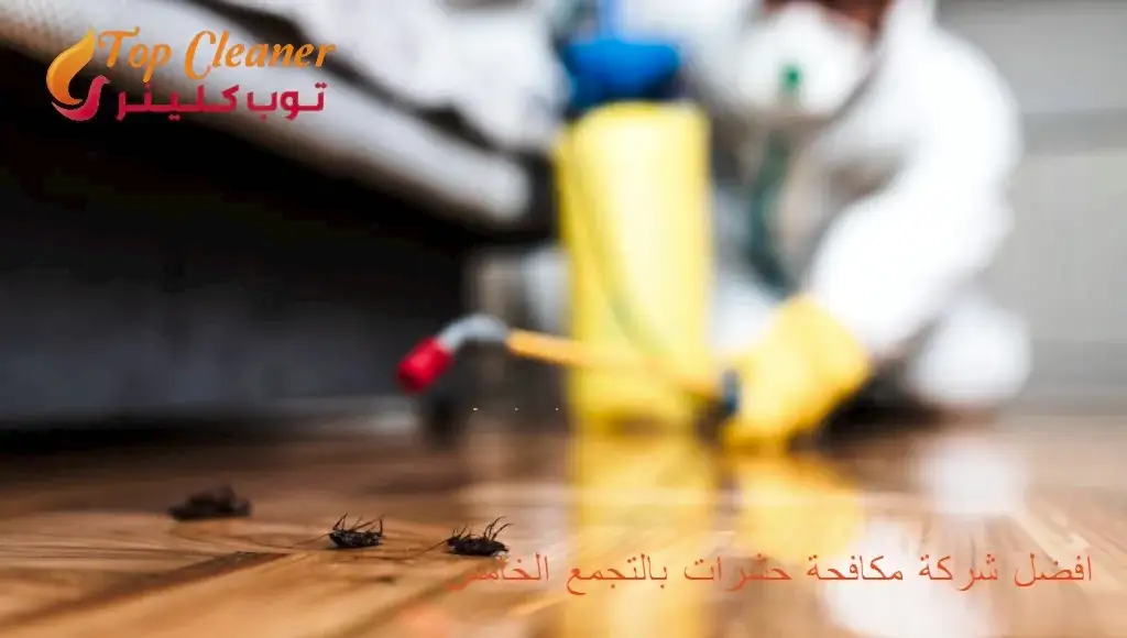 افضل شركة مكافحة حشرات