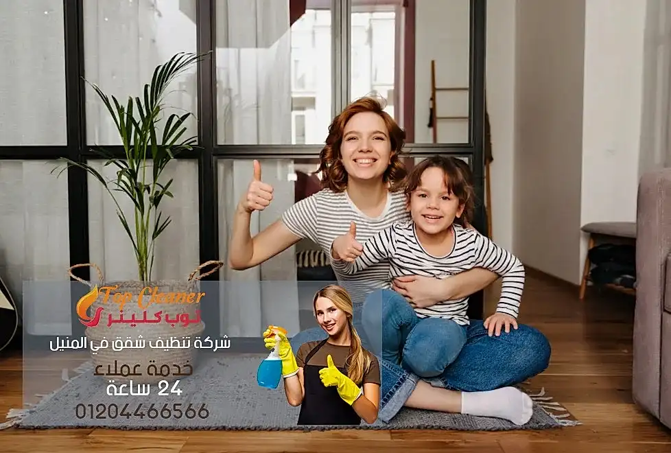 افضل شركة تنظيف في المنيل