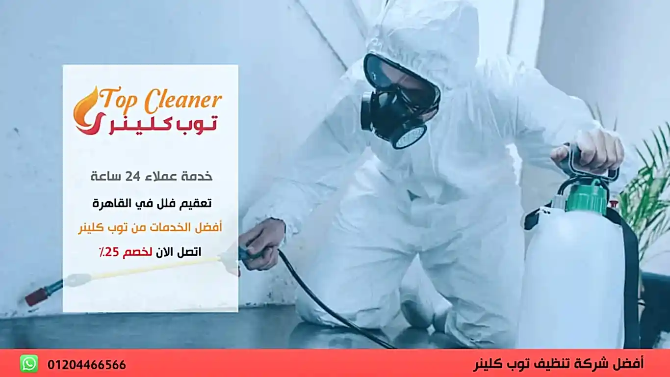 تعقيم فلل في القاهرة