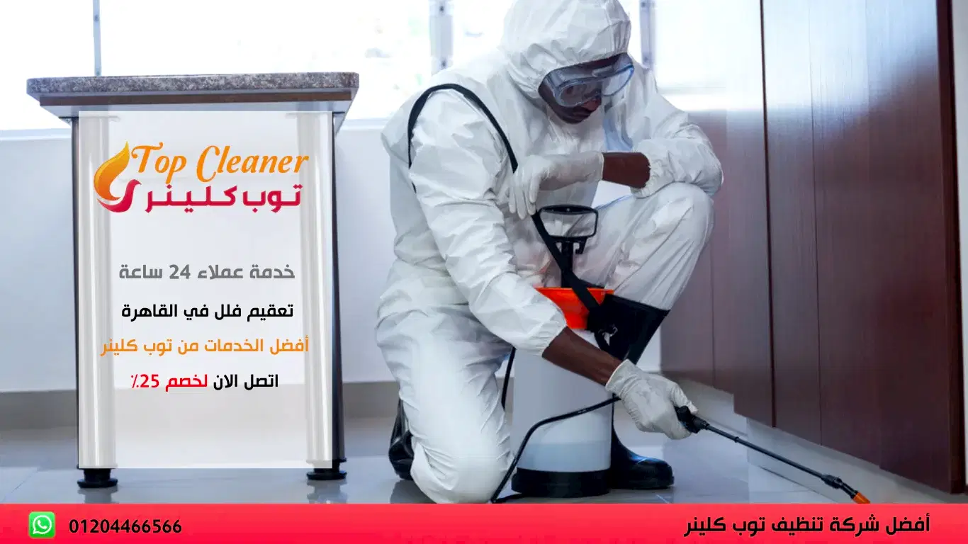 تعقيم فلل في القاهرة