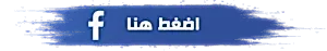 احسن شركة رش حشرات في القاهرة