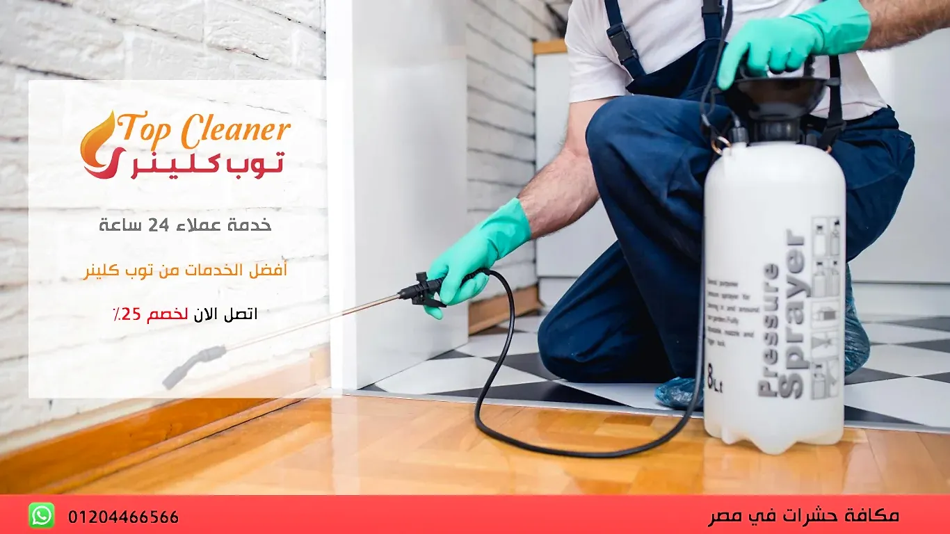 احسن شركة رش حشرات في القاهرة