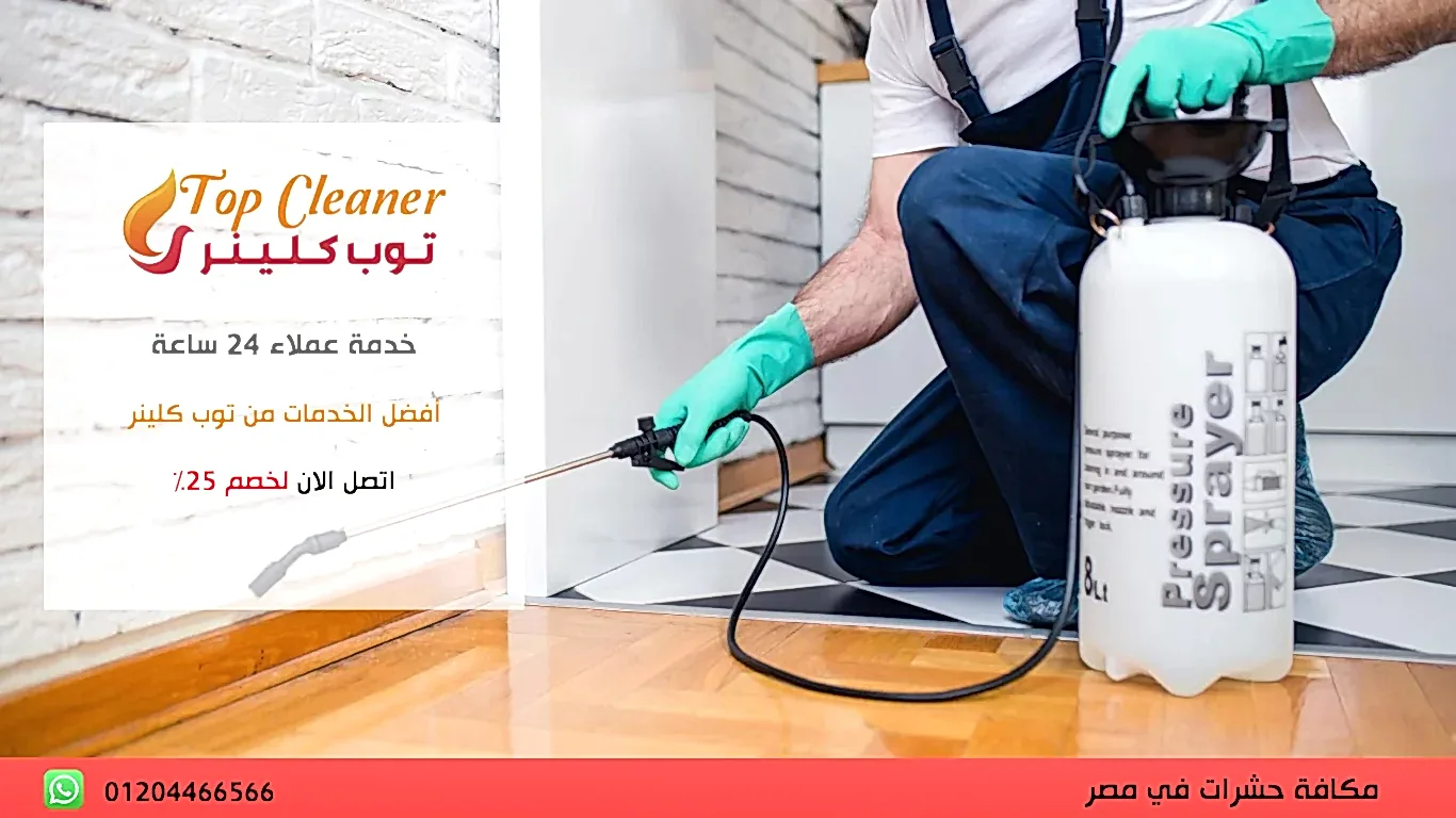 رش البيوت من الحشرات