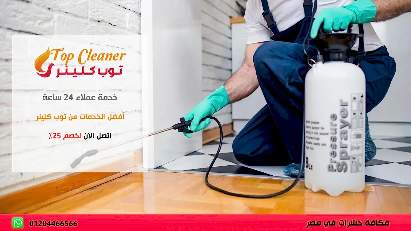 شركة رش المنازل من الحشرات