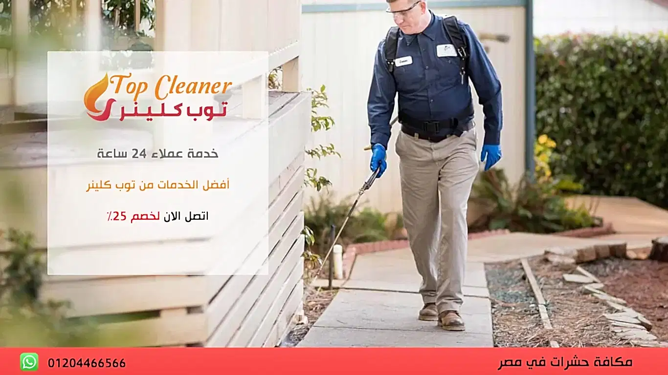 مكافحة حشرات وصراصير