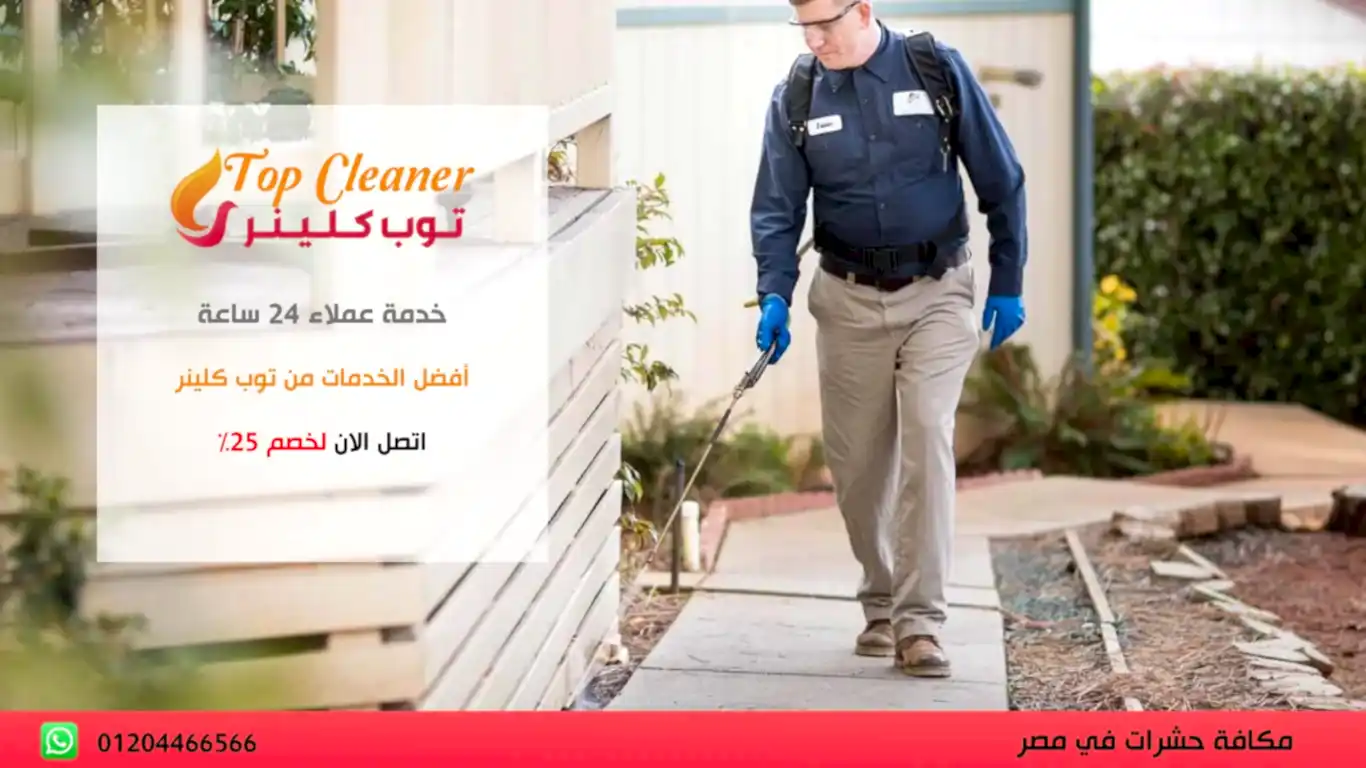 شركة رش المنازل من الحشرات