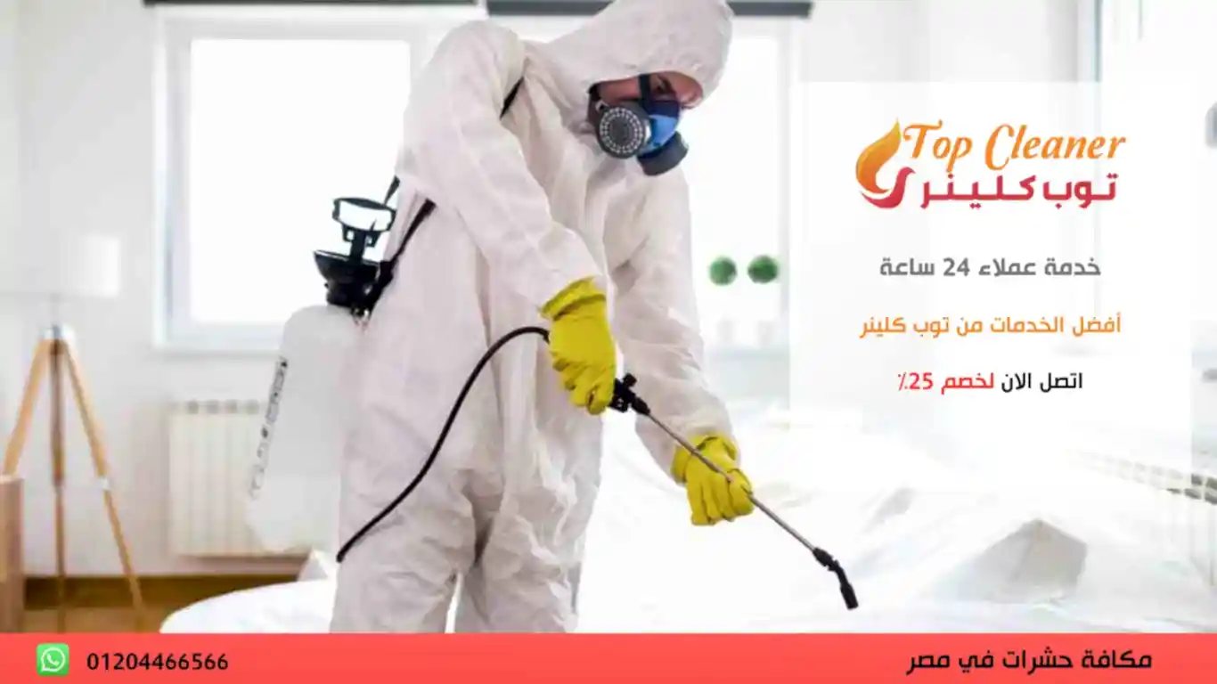 احسن شركة رش حشرات في القاهرة