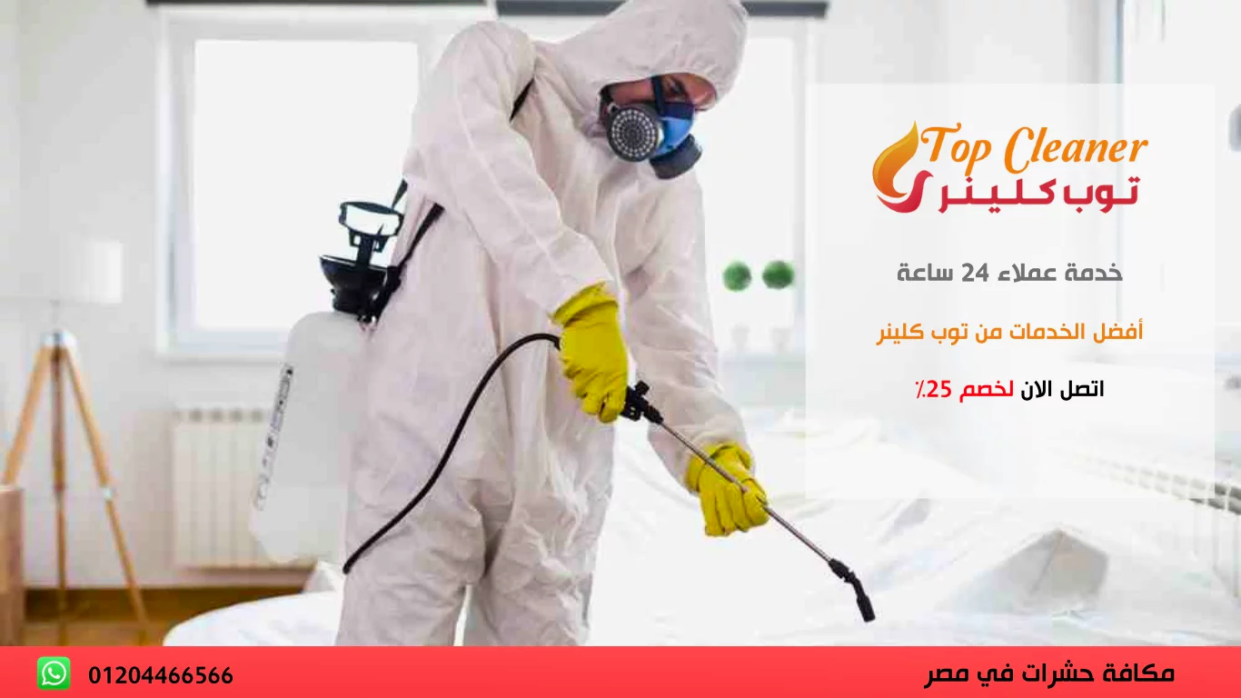شركة رش المنازل من الحشرات