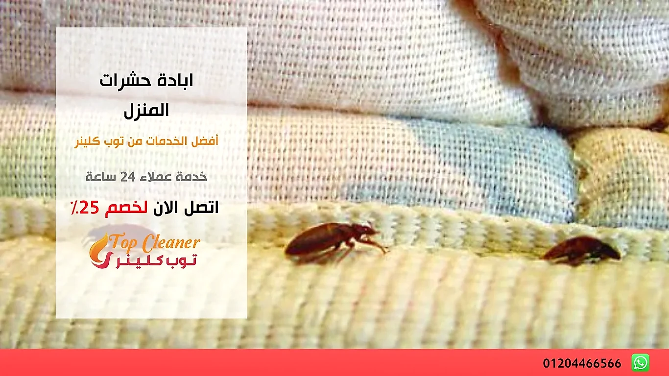ابادة حشرات المنزل