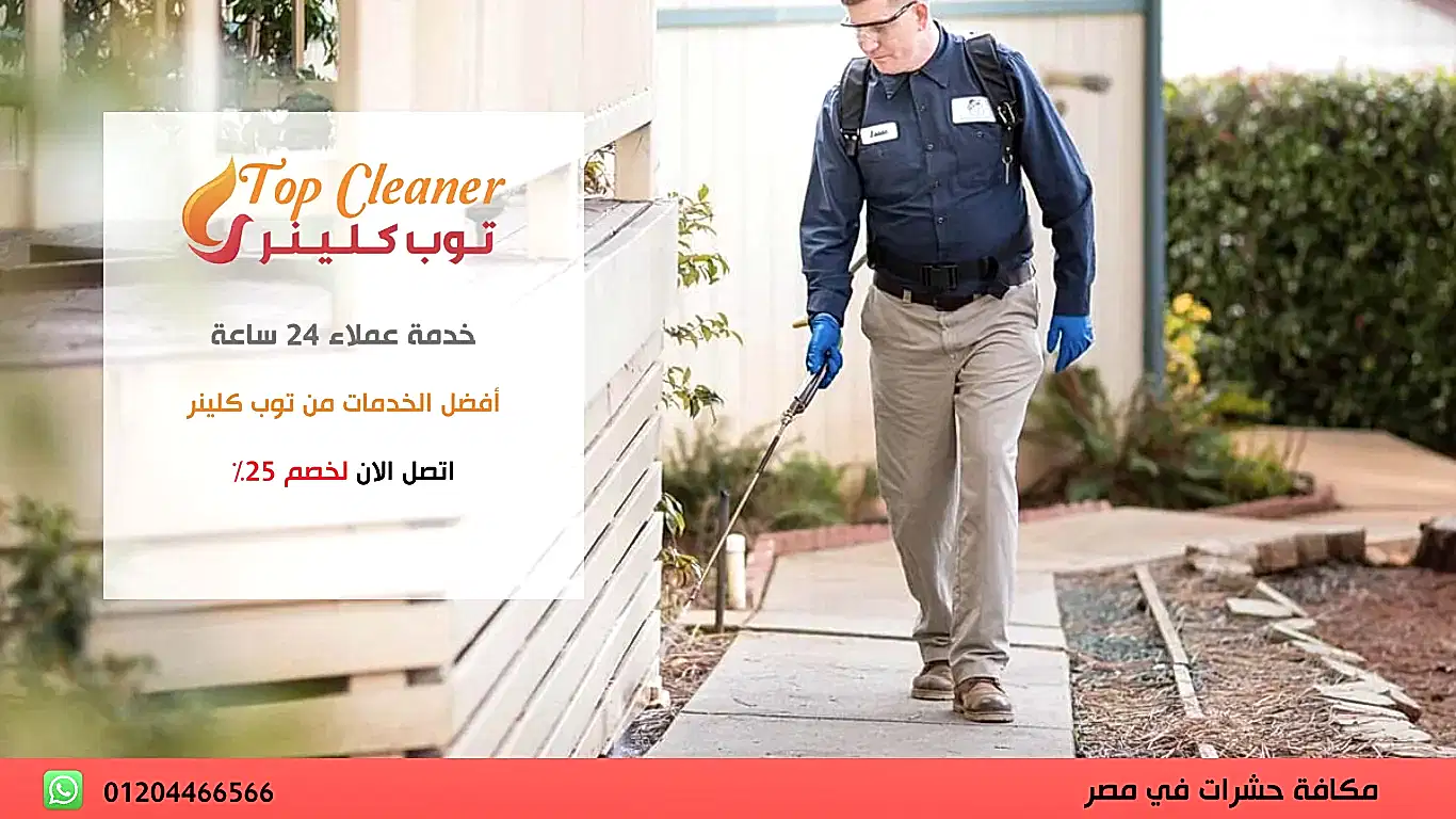 أفضل شركات رش الحشرات بالقاهرة