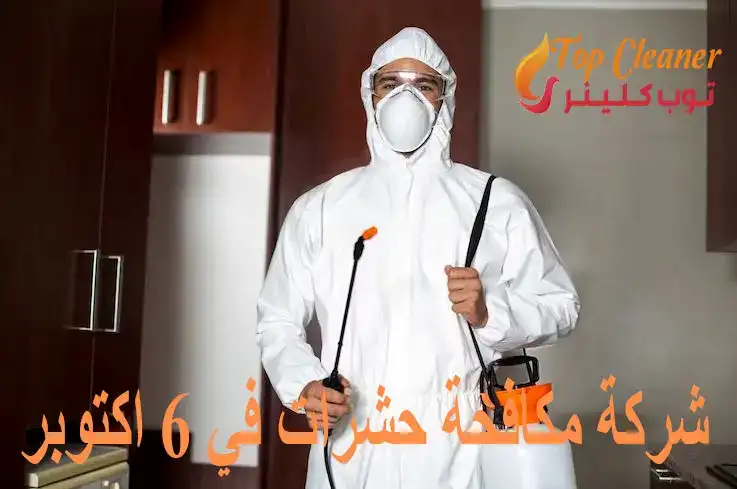 شركة مكافحة حشرات في 6 اكتوبر