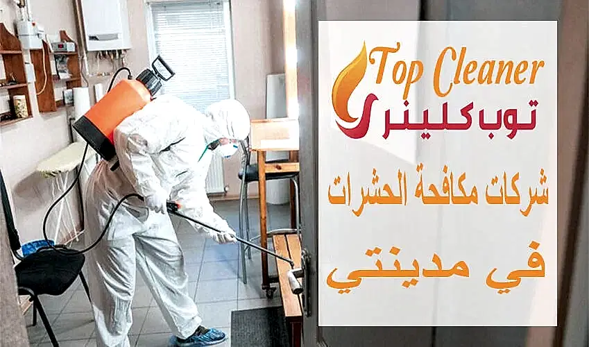 شركات مكافحة الحشرات في مدينتي