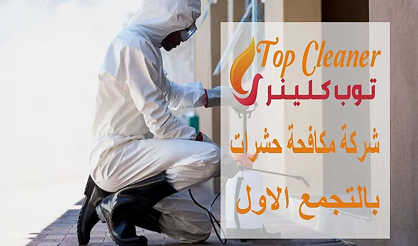 شركة مكافحة حشرات بالتجمع الاول